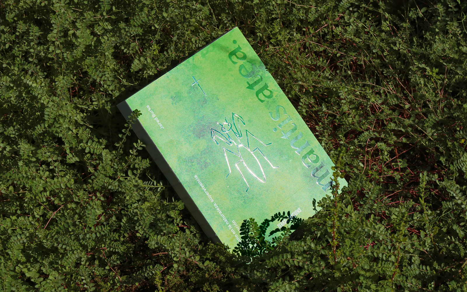 Diseño editorial de libros